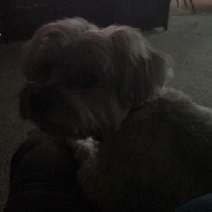 Meet your Posher, Ken